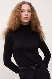 Regular Fit Soft Texture Turtleneck Basic Plain Knitwear Sweater