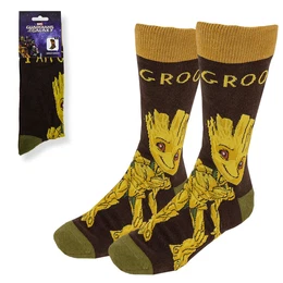 SOCKS GROOT