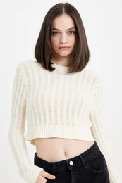 Regular Fit Crop Crew Neck Knitted Hole Knitwear Sweater