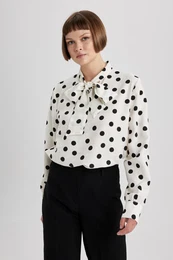 Regular Fit Bow Collar Long Sleeve Blouse