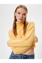 Crop Knitwear Sweater Turtleneck Long Sleeve Acrylic Blend