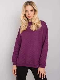 Sweatshirt-RV-BL-7447.29-gray