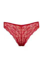 Fall in Love Christmas Themed Red Lace Brazilian Briefs