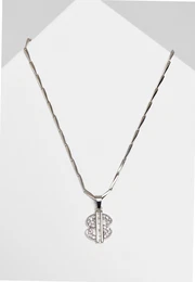 Small Dollar Necklace - Silver Color