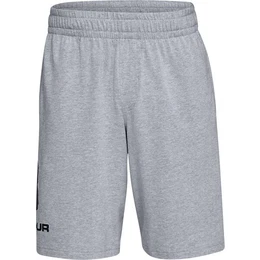 Men's shorts COTTON BIG LOGO SHORTS gray XXL
