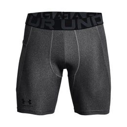 Men's shorts HG Shorts gray XXL
