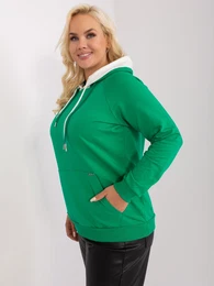 Sweatshirt-RV-BL-9087.77P-green