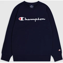 Kinder Sweatshirt Crewneck Sweatshirt, NNY, L