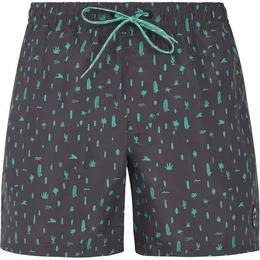 Herren Badeshorts PRTGROM, Deep Grey, M