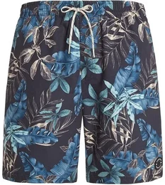 Herren Badeshorts PRTDORSET beachshort, Deep Grey, L
