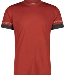 Herren MAN T-SHIRT, RUST, 48