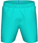 Arena Badeshorts Fundamentals Logo R martinica/navy
