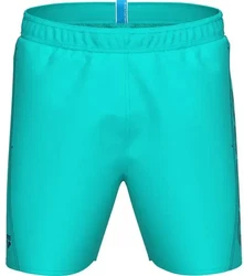 Arena Badeshorts Fundamentals Logo R martinica/navy