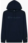 Champion Hooded Sweatshirt NNY