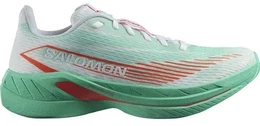 Herren Laufschuhe SHOES SPECTUR 2, Bay/Cherry Tomato/Electric Green, 45 13