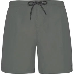 Herren Badeshorts FASTER beachshort, Grey Green, S