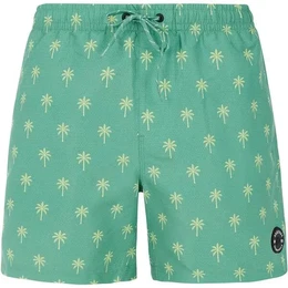 Herren Badeshorts PRTALVIS, Frosty Green, XXL