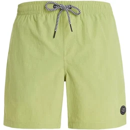 Herren Badeshorts FASTER beachshort, AlgaeGreen, 3XL
