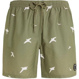 Herren Badeshorts PRTZINZU beachshort, Artichoke green, S
