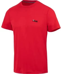 Herren Shirt T-Shirt Logo small, red, 50