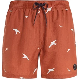 Herren Badeshorts PRTZINZU beachshort, Clay, S