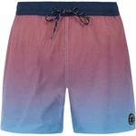 PROTEST Herren Badeshorts PRTERIN Dusk Blue