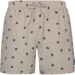 Badehose PRTAAIDEN beachshort, Desert Stonebeige, S