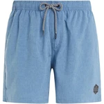 PROTEST Badeshorts DAVEY Boardshort (2024) River Blue