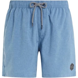 PROTEST Badeshorts DAVEY Boardshort (2024) River Blue