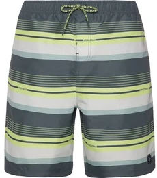 Badehose PRTLANKSTON beachshort, Huntergreen, S