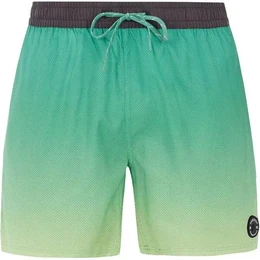 Herren Badeshorts PRTERIN, Frosty Green, XS