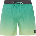 Protest Badeshorts PRTERIN Herren Frosty Green