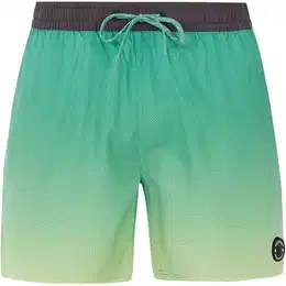 Herren Badeshorts PRTERIN, Frosty Green, S