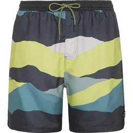 Badehose PRTJAVIAR beachshort, Huntergreen, S