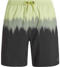Herren Badeshorts PRTCAGNES beachshort, AlgaeGreen, M