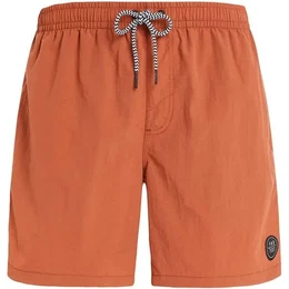 Herren Badeshorts FASTER beachshort, Clay, XL