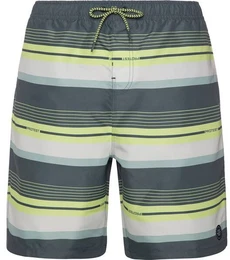 Badehose PRTLANKSTON beachshort, Huntergreen, M