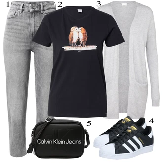 Casual outfits Zima mit Svetlo siva/Siva Pletene velika velikost/Pulover Vila "Priložnostna oblačila"