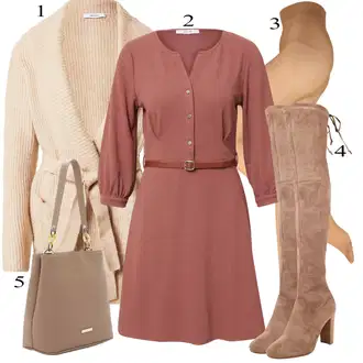 Outfity na podzim s Hnědá Šaty Móda Pro Plnoštíhlou/Košilové šaty/Šaty s výstřihem About You "Podzimní Outfit"
