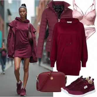 Výstřih na ramena Outfit s Vínová/Tmavě červená/Červená/Růžová Mikinové Šaty Ragwear "Perfektní pro podzim"