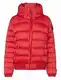 Crvene Bomber Jakne