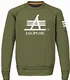 Grüne Basic Pullover