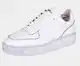 Bele Superga