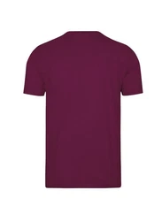 Trigema T-Shirt TRIGEMA V-Shirt DELUXE Lila/Rosa/Dunkelrot