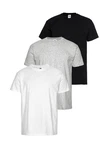 Fruit of the Loom T-Shirt mit Rundhalsausschnitt Grau/Hellgrau/Weiß/Schwarz/Dunkelgrau/Silber
