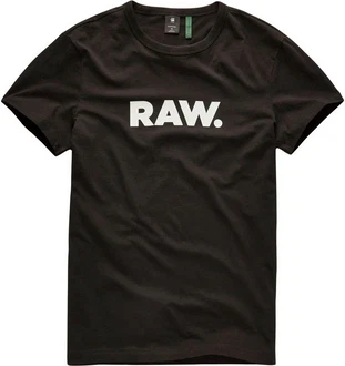 G-STAR T-Shirt Holorn Braun