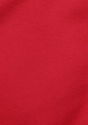 Fruit of the Loom Sweatshirt im Design Rot