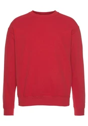 Fruit of the Loom Sweatshirt im Design Rot