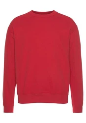 Fruit of the Loom Sweatshirt im Design Rot