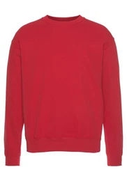 Sweatshirt im unifarbenen Design